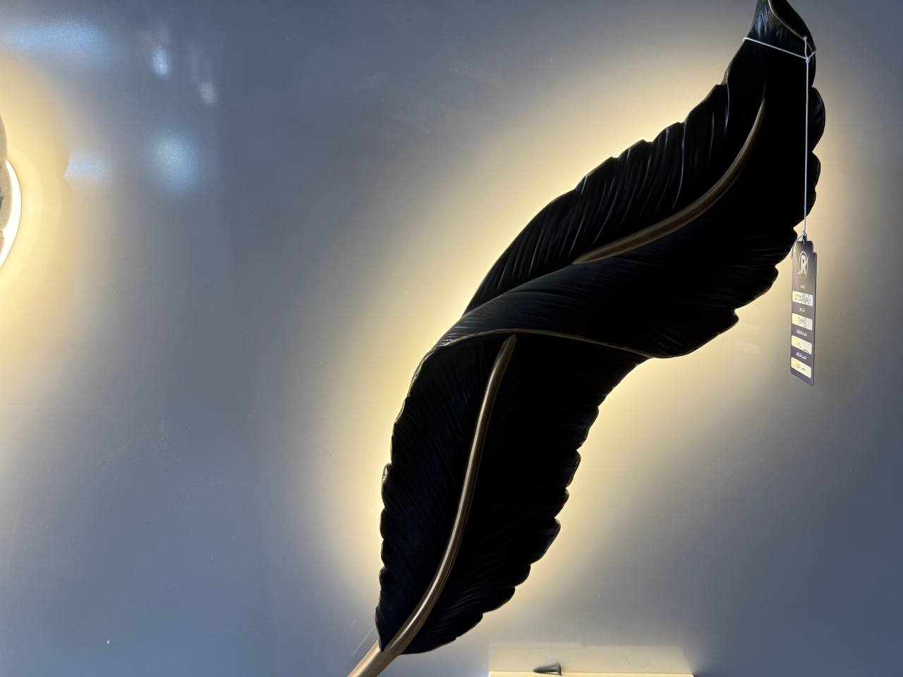 براكيت ريشه ابيض 2722/650